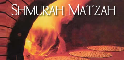 1 Shmurah Matzah
